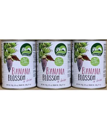 Nature's Charm Banana Blossom In Brine 18oz By KC Commerce (Pack of 3) 9 Ounce (Pack of 3)