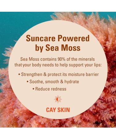 Cay Skin Isle Lip Balm Bad Gyal Berry SPF 30 | Hydrating Lip Gloss | Vanilla Brown Sugar | UV Protection - 0.35oz | Shop Internationally - Buy Online on GoSupps.com