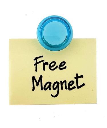 Bolle Lychee Nata De Coco Coconut Jelly Topping Boba Bubble Tea Ingredient 35oz + Magnet Set - Buy Online on GoSupps.com