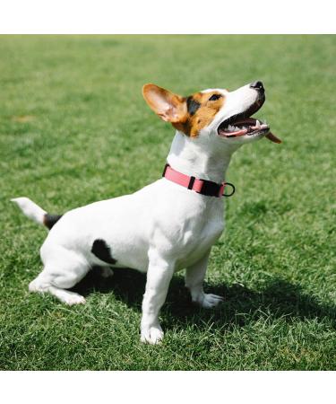 Audwud Thick Nylon Dog Collar - Adjustable Neck Band for Small Medium & Large Dogs - Baby Pink 4 Sizes Available - Buy Online on GoSupps.com