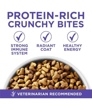 Purina ONE +Plus Senior Dry Dog Food Healthy Aging 7+ with Chicken - 11.7 kg Bag 11.7 kg (Pack of 1) - Buy Online on GoSupps.com