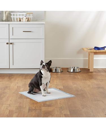 Amazon Basics Dog Puppy Pads 100 Count - Leak-proof 5-Layer Pee Pads for Potty Training - Buy Online on GoSupps.com