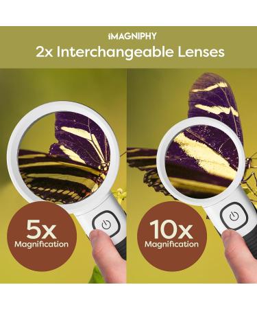 iMagniphy High Power Magnifying Glasses with Light - 5X & 10X Magnification - Ideal for Seniors with Macular Degeneration - Reading Magnifying Glass with 2 Interchangeable Lenses - Black - Buy Online on GoSupps.com