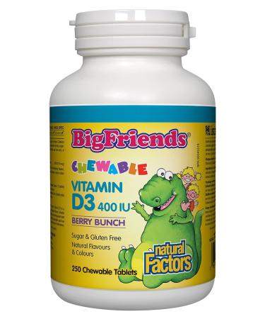 Natural Factors Big Friends Chewable Vitamin D3 400 IU Berry Bunch - 250