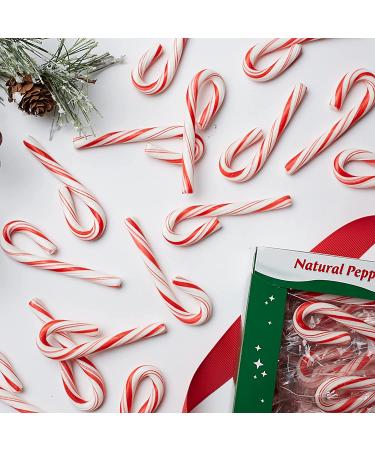 Spangler Red and White Peppermint Mini Canes 240 Count Box Red and White 240 Count (Pack of 1) - Buy Online on GoSupps.com