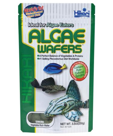 Hikari Usa Inc AHK21328 tropical Algae Wafer 8.8-Ounce