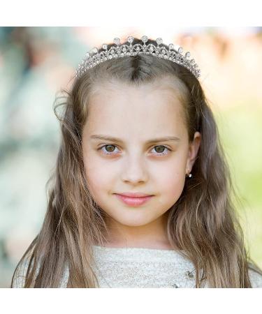 AW BRIDAL Crystal Tiara Crown for Women - Sparkling Princess Headband for Bride - Wedding & Prom Hair Accessories - Silver - Buy Online on GoSupps.com