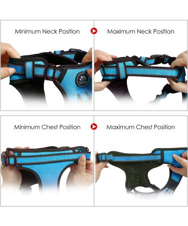Nestroad Blue Dog Harness for Small Dogs - Padded Anti-Train Cushion Design Adjustable Size S (Neck 28-38cm Chest 38-53cm) with Reflective Strips - Buy Online on GoSupps.com
