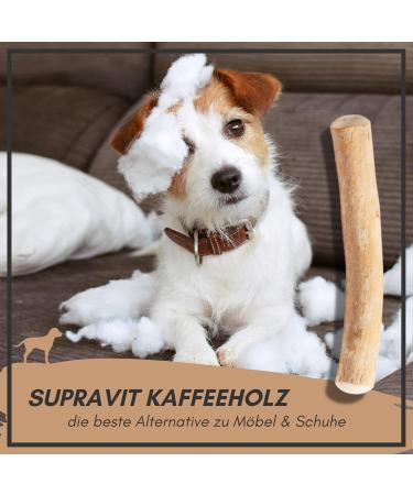 Supravit Natural Coffee Wood Chewing Bones for XS Puppies | Long-Lasting Play & Excitement | Caustab Puppy Chew Toys - Buy Online on GoSupps.com