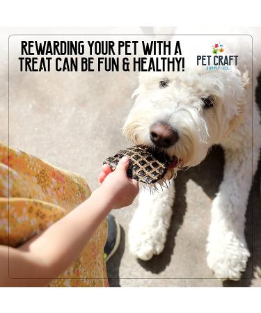 Natural Grain-Free Salmon & Liver Dog Treats - Training Treats for Puppies | Pet Craft Supply - Buy Online on GoSupps.com