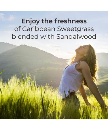 Botanica by Air Wick Plug in Starter Kit - Caribbean Sweetgrass & Sandalwood Scented Oil with 2 Warmers + 6 Refills - Eco Friendly Air Freshener with Essential Oils - Buy Online on GoSupps.com