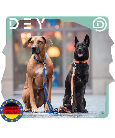 Dey Premium 2m Dog Leash - 3-Way Adjustable Nylon Leash for Small Medium & Large Dogs - Multiple Colors Available - Doubleein Dog Cat & Puppy Leash - Lila Purple 2.5 x 200 cm - Buy Online on GoSupps.com