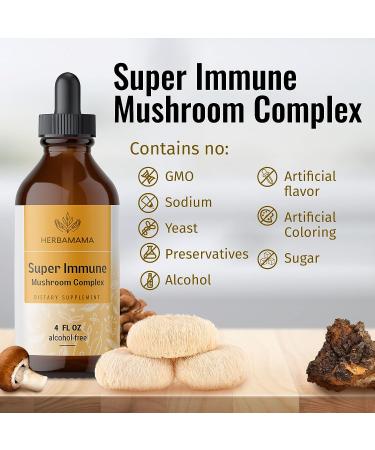 Super Immune Mushroom Complex Liquid Extract - 4 fl. Oz Vegan Tincture with Lions Mane, Reishi, Shiitake, Turkey Tail & Chaga - Immune Support & Energy Supplement - Buy Online on GoSupps.com