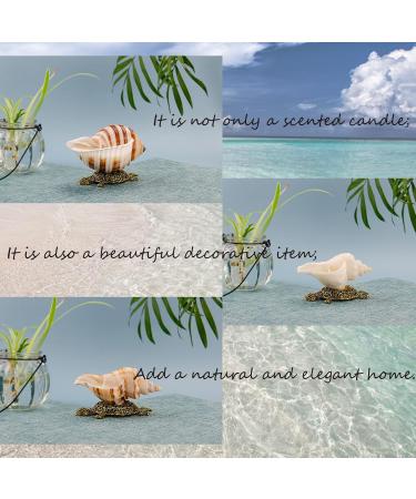 Handmade Natural Scented Candles - Conch Shell Soy Wax with Essential Oils | Perfect Gifts for Birthdays Christmas & Stress Relief - Buy Online on GoSupps.com