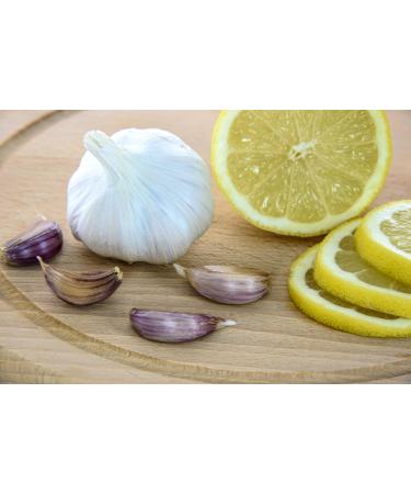 Harry Harvey Minced Garlic Paste 250g - Ready-to-Use Crushed Puree - Buy Online on GoSupps.com