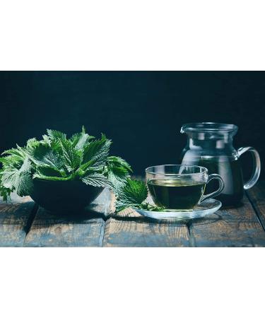 Organic Nettle Tea - 8oz | Wild Harvested | USDA Certified | Loose Leaf Urtica Dioica Tea - Buy Online on GoSupps.com