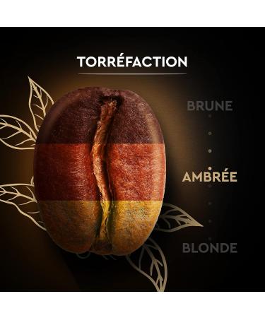 CARTE NOIRE - Coffee Beans - Classic - Pure Arabica - Rainforest Alliance Certified - 2 Packs of 1kg - Buy Online on GoSupps.com