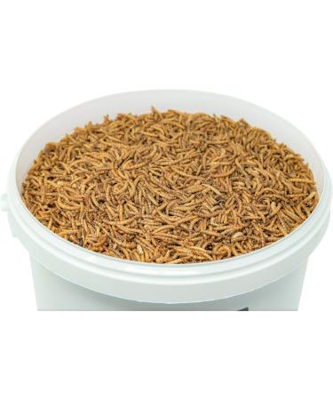 Super Worms 10L - Dried Mealworms for Fish Birds Hedgehogs & More | Ideal Bird & Hedgehog Feed - Buy Online on GoSupps.com