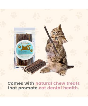Cat Treats bundle contains Lick e Lix Salmon Webbox Licky Lix Kitten Treats and Snacks Lick-e-Lix Pack of 7 x 5's - Total 35 x 15g sachets and our Silvervine Chew Sticks - Buy Online on GoSupps.com