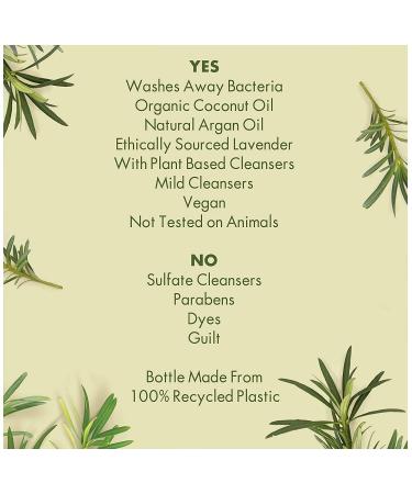 Love Beauty & Planet Daily Detox Hand Soap - Tea Tree Oil & Vetiver 13.5 oz - Buy Online on GoSupps.com