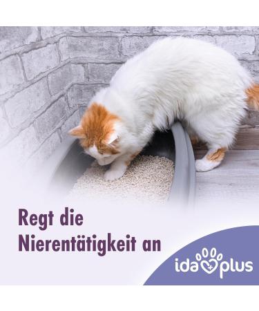 Ida Plus Renal Care Mini Sticks for Cats - Supports Kidney Health & Urine Excretion - 80 pcs - Phosphate & Uremic Toxin Control - Buy Online on GoSupps.com