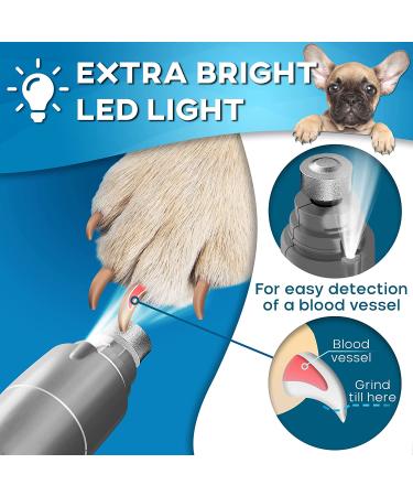 Rechargeable LED Dog Nail Grinder for Large, Medium & Small Dogs - Professional Pet Grooming Tool for Quiet & Gentle Trimming - Cat Nail Trimmer Included - Gray - Buy Online on GoSupps.com