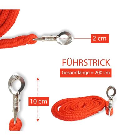 Shop Stylish Leading Knit with Panic Hooks for Horses - Versatile Leashes & Tie Ropes for Ponies Donkeys & Goats (Red) - International Shipping Available - Buy Online on GoSupps.com
