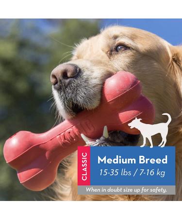 KONG Goodie Bone: Durable Rubber Chew Dog Toy - Medium Size - Buy Online on GoSupps.com