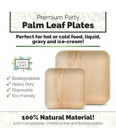 Chic Leaf Palm Leaf Plates - 48 Pc Disposable Bamboo Plates Party Pack - Compostable and Biodegradable - 10 Inch & 7 Inch Square - Eco-Friendly Alternative to Plastic and Paper Plates - Buy Online on GoSupps.com
