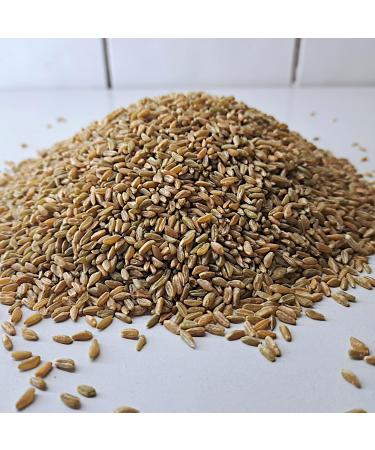 Buy Premium Green Spelt Grains (500g) from R tze Mill - Fresh Whole Grain Quality for International Shipping - Buy Online on GoSupps.com