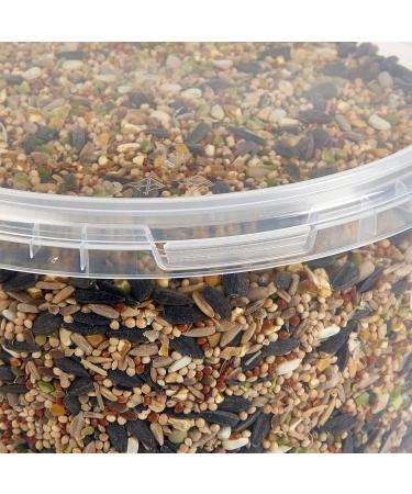 Premium Wheat Free Wild Bird Food 3L Tub - Buy Online on GoSupps.com