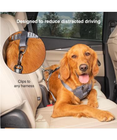 Kurgo Direct to ISO-FIX Swivel Tether Universal Car Seat Belt for Dogs Tangle-Free with Latch Bar Attachment Adjustable Black/Charcoal - Buy Online on GoSupps.com