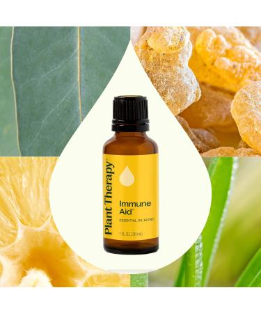 Plant Therapy Immune Aid Essential Oil Blend 30 mL (1 oz) 100% Pure Undiluted Natural Aromatherapy Natural Immune Support Fresh Scent - Buy Online on GoSupps.com