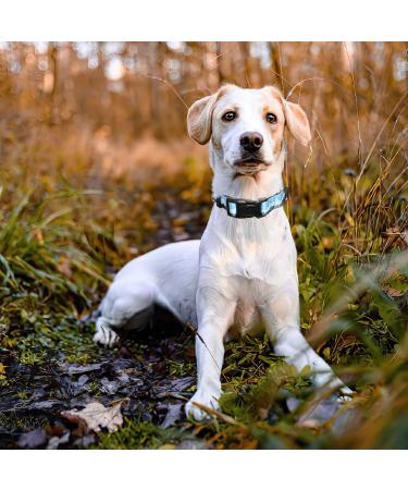 Heele Dog Collar for Small & Medium Dogs | Adjustable Patterned Collars in Azure Blue | Comfort & Durability Size L (40.5-65cm) - Buy Online on GoSupps.com
