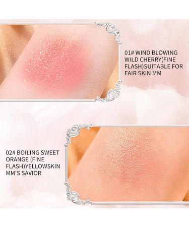 Embossed Smooth Powder Blush Palette Matte Face Powder Blush Palette Natural Nude Long Lasting Blush Palette Embossed Girl Blush for Cheeks 01+02 - Buy Online on GoSupps.com