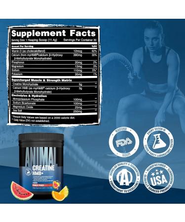 Animal Creatine HMB Powder 5g Creatine + 3g myHMB with Electrolytes for Lean Muscle Recovery & Daily Energy Power Punch Flavor 30 Servings Power Punch 12.06 Ounce (Pack of 1) - Buy Online on GoSupps.com