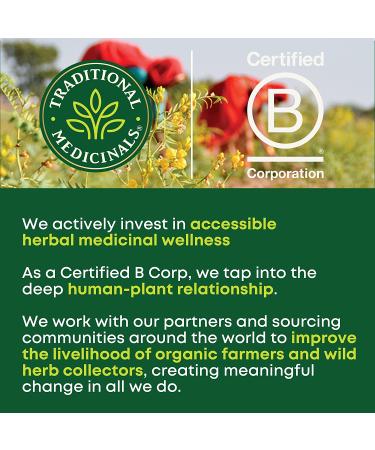 Traditional Medicinals Organic Lemon Balm Herbal Tea - Calming, Digestive Support - 16 Tea Bags - Buy Online on GoSupps.com