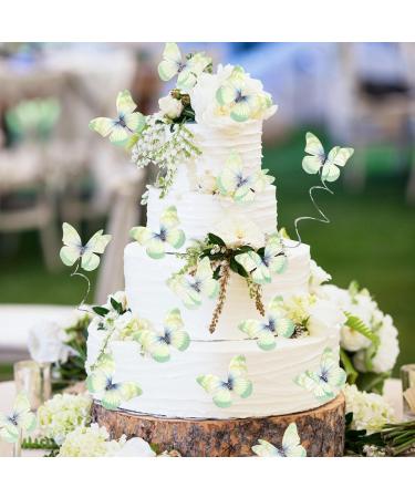 Cyodoos 30Pcs 3D Green Butterfly Cupcake Toppers Double Layer Butterfly Decorations for Women's Happy Birthday Cake Decorations Party Decorations - Buy Online on GoSupps.com