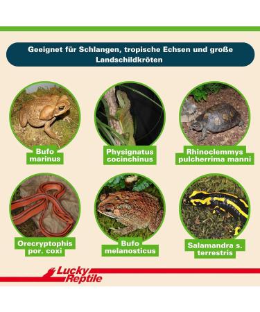 Lucky Reptile Coconut Bark Chips 1 kg | Natural Bedding for Terrarium Pets & Reptiles - Eco-Friendly Coconut Chip Substrate - Buy Online on GoSupps.com