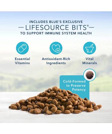 Buy Blue Buffalo Life Protection Formula Natural Adult Dry Dog Food - Premium Nutrition for Your Dog - Buy Online on GoSupps.com