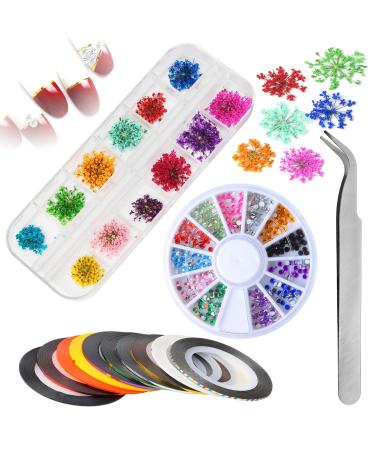 Nail art dry flower mwoot 3D nail art set with 12 color natural dry flower with 10 nail rolls striping tape and 1 boxing nail art strass tweezers for woman nail art design decoration