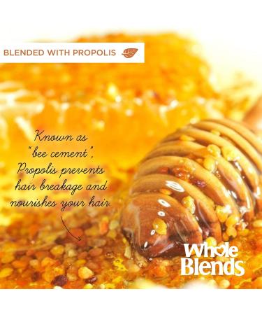 Garnier Whole Blends Repairing Mask Honey Treasures 10.1 oz - Hydrating Hair Care - Buy Online on GoSupps.com