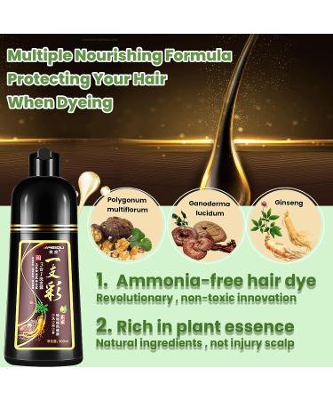 Leorx 3-in-1 Dark Brown Herbal Hair Dye Shampoo | Gray Hair Coverage | Natural Plant Hair Color | Ammonia-Free | For Women & Men - Buy Online on GoSupps.com