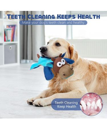 Iokheira Dog Toys - Squeaky Tug Toys for Large Medium & Small Dogs - Wrinkle Paper Stuffed Playtime Fun in Blue & Brown - Buy Online on GoSupps.com