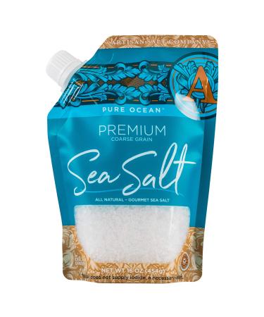SaltWorks Premium Sea Salt, Coarse, Artisan Pour Spout Pouch, Pure Ocean, 16 Ounce Pure Ocean 1 Pound (Pack of 1)