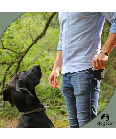 Dogster XXL Dog Treats - Quick Access Snack Bag with Carabiner | Perfect Rewards for Dogs - International Shipping Available - Buy Online on GoSupps.com