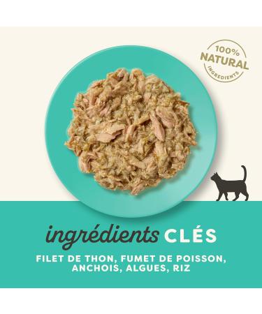 Applaws - Natural - Wet food for adult cats - Tuna fillet and anchovies in broth - 12 pouches of 70 g - Buy Online on GoSupps.com