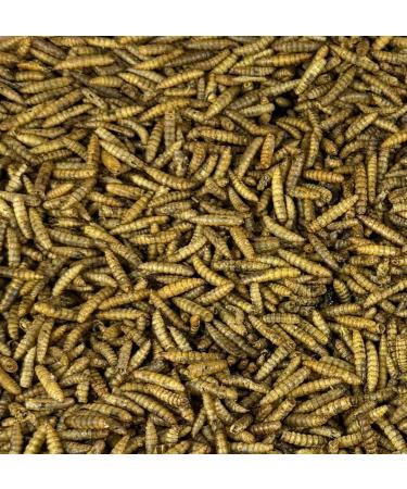 340 Grams - Dried Black Soldier Fly Larvae by Premium Feeders Dried mealworms Alternative Treats for Chicken Hens Duck Bird Quail Tortoise Fish High Calcium & Protein All Natural BSF - Buy Online on GoSupps.com