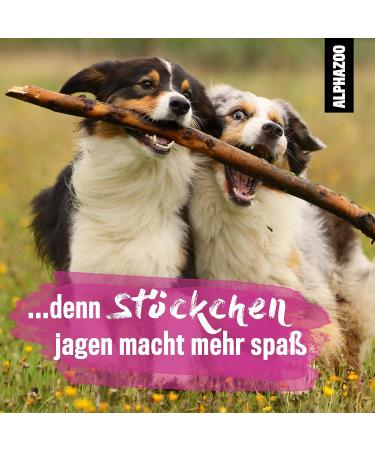 Alphazoo Milbhunter Anti-Mite Spray for Dogs Cats Horses & Chickens - 500ml Natural Mite Solution for Long-Term Protection Against Infestation - Buy Online on GoSupps.com