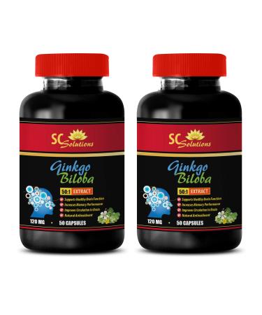Brain Booster Memory - Ginkgo BILOBA 50:1 Extract 120MG - Wellness Formula Vitamins - 2 Bottles (100 Capsules)